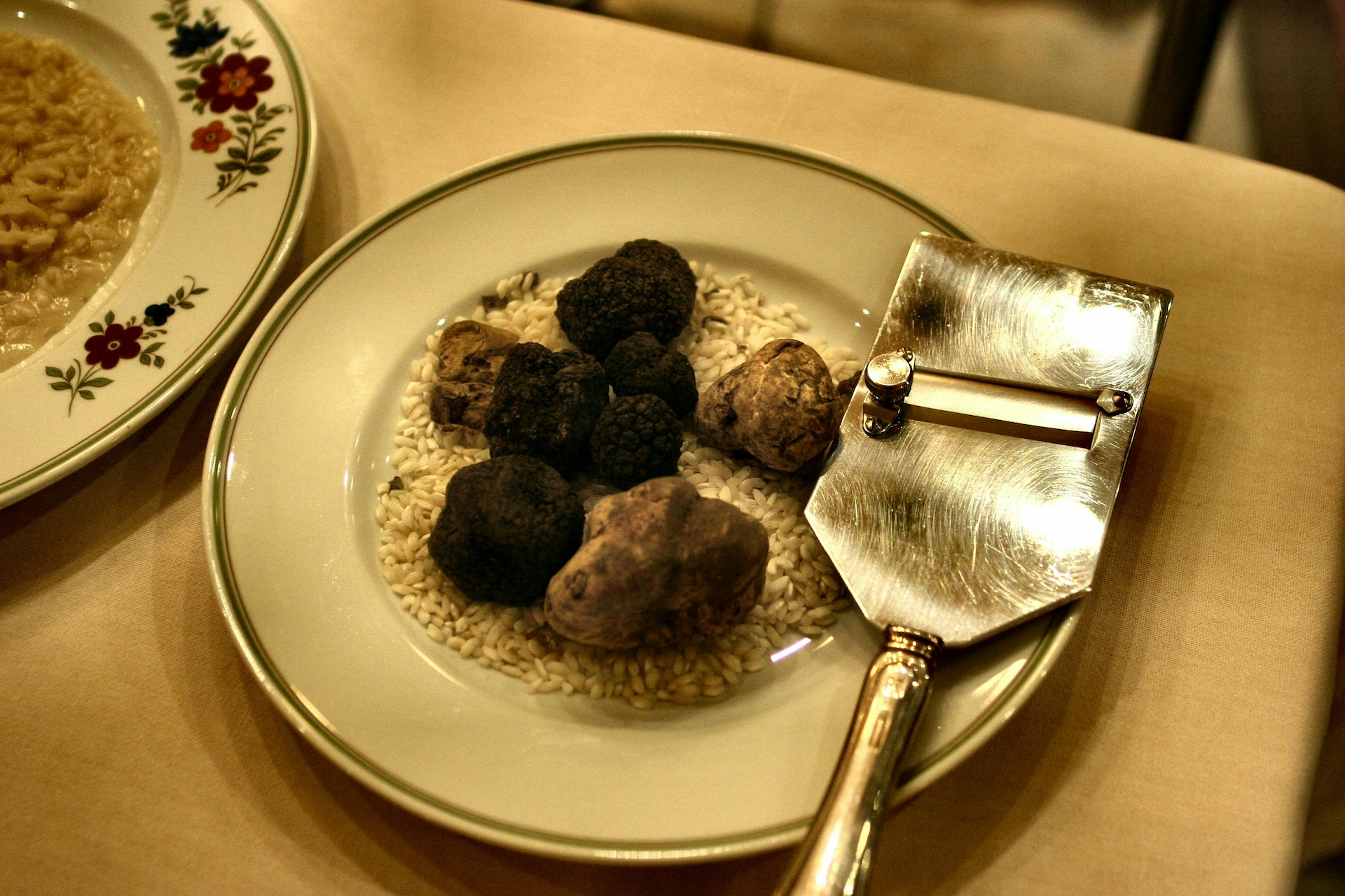 What Is a Truffle? Types, Growth, and Culinary Uses